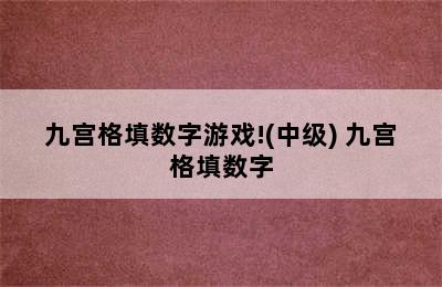 九宫格填数字游戏!(中级) 九宫格填数字